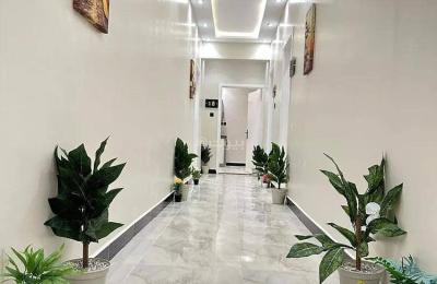 Studio Apartment For Rent Al Aqiq