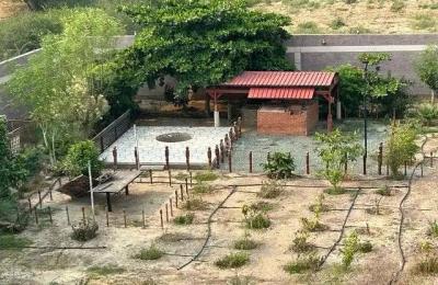 Farm For Sale in Al Yasmin, Sabya Jazan Region