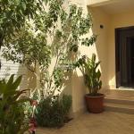 Villa 312.5 SQM Facing East on 15m Width Street