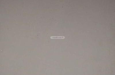 Apartment with 1 Bedroom