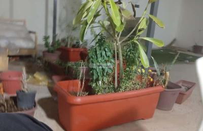 Apartment with 2 Bedrooms