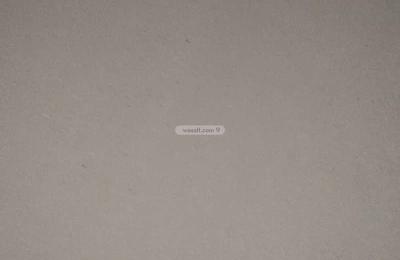 Apartment with 1 Bedroom