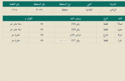 Land 160 SQM Facing East on 10m Width Street