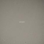 Apartment with 1 Bedroom