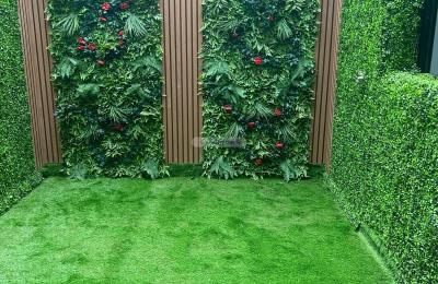 Villa 383 SQM Facing West on 16m Width Street