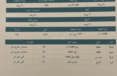 Land 300 SQM Facing West on 16m Width Street