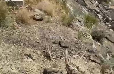 Land 669 SQM Facing North on 15m Width Street