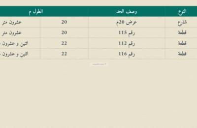 Land 440 SQM Facing North on 20m Width Street