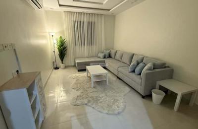 Furnished Apartment 300 SQM