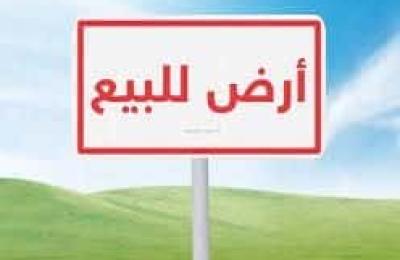 Land 250 SQM Facing West on 20m Width Street