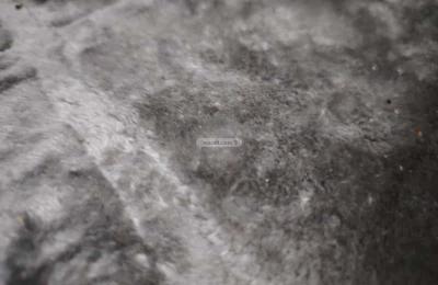 Apartment with 2 Bedrooms