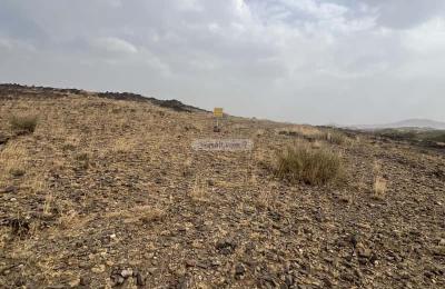 Land 735 SQM Facing South on 20m Width Street