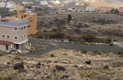 Land 900 SQM Facing West on 20m Width Street