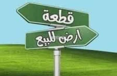 Land 312.5 SQM Facing South on 24m Width Street