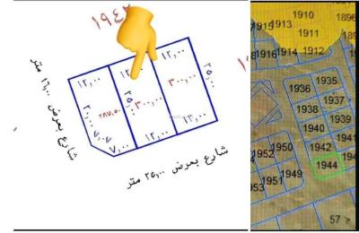 Land 299.33 SQM Facing South on 25m Width Street