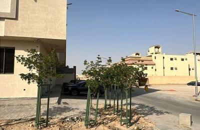 Building 123.28 SQM Facing West