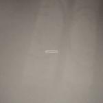 Apartment with 1 Bedroom