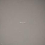 Apartment with 1 Bedroom