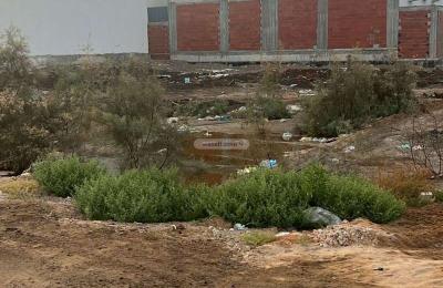 Land 310 SQM Facing South on 32m Width Street