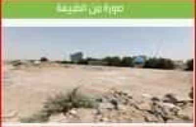 Land 1155 SQM Facing East