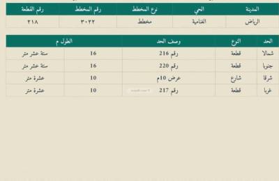 Land 160 SQM Facing East on 10m Width Street