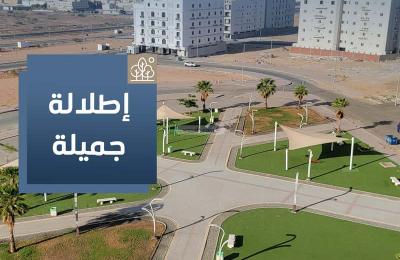 Apartment 928.08 SQM with 3 Bedrooms