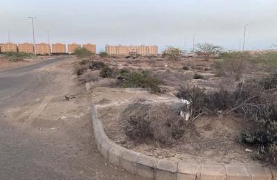 Land 616.7 SQM Facing North on 30m Width Street